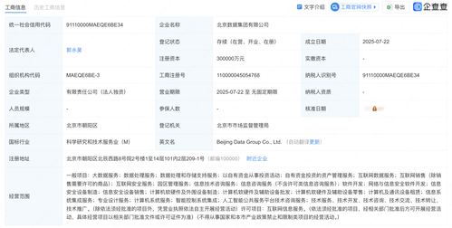 北京數據集團正式揭牌成立，為數據處理服務注入新動力